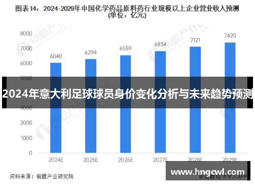 2024年意大利足球球员身价变化分析与未来趋势预测