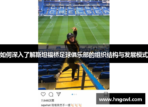 如何深入了解斯坦福桥足球俱乐部的组织结构与发展模式